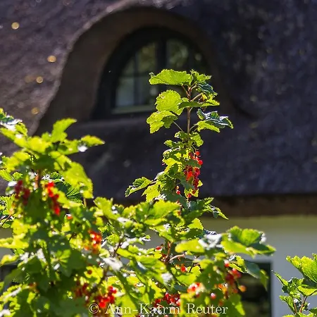 Landhaus Koldevitz Semesterbostad *