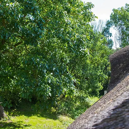 Landhaus Koldevitz *
