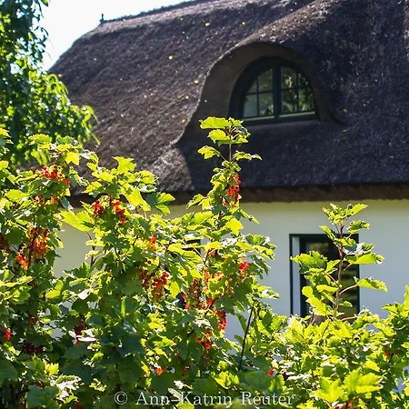 Landhaus Koldevitz *